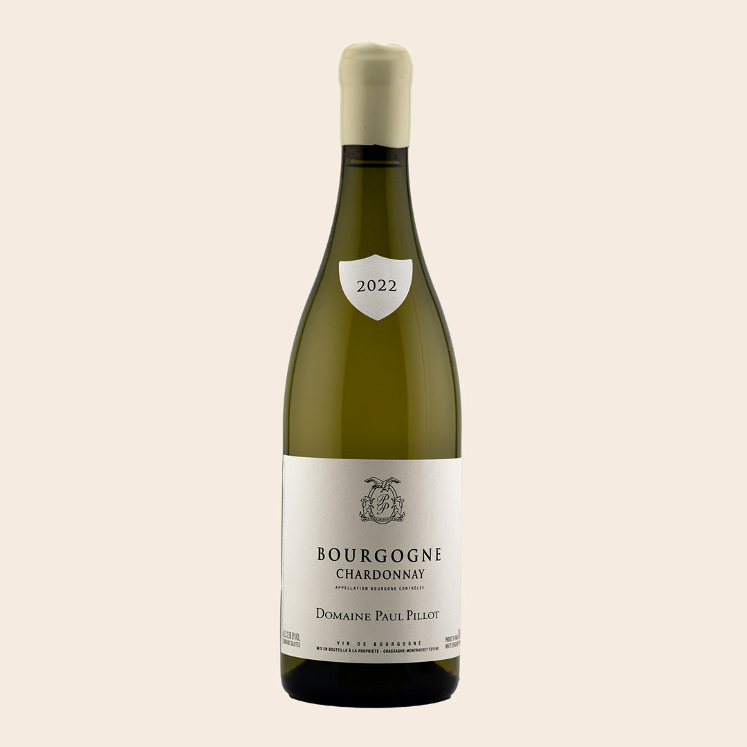2022 Domaine Paul Pillot Bourgogne Chardonnay