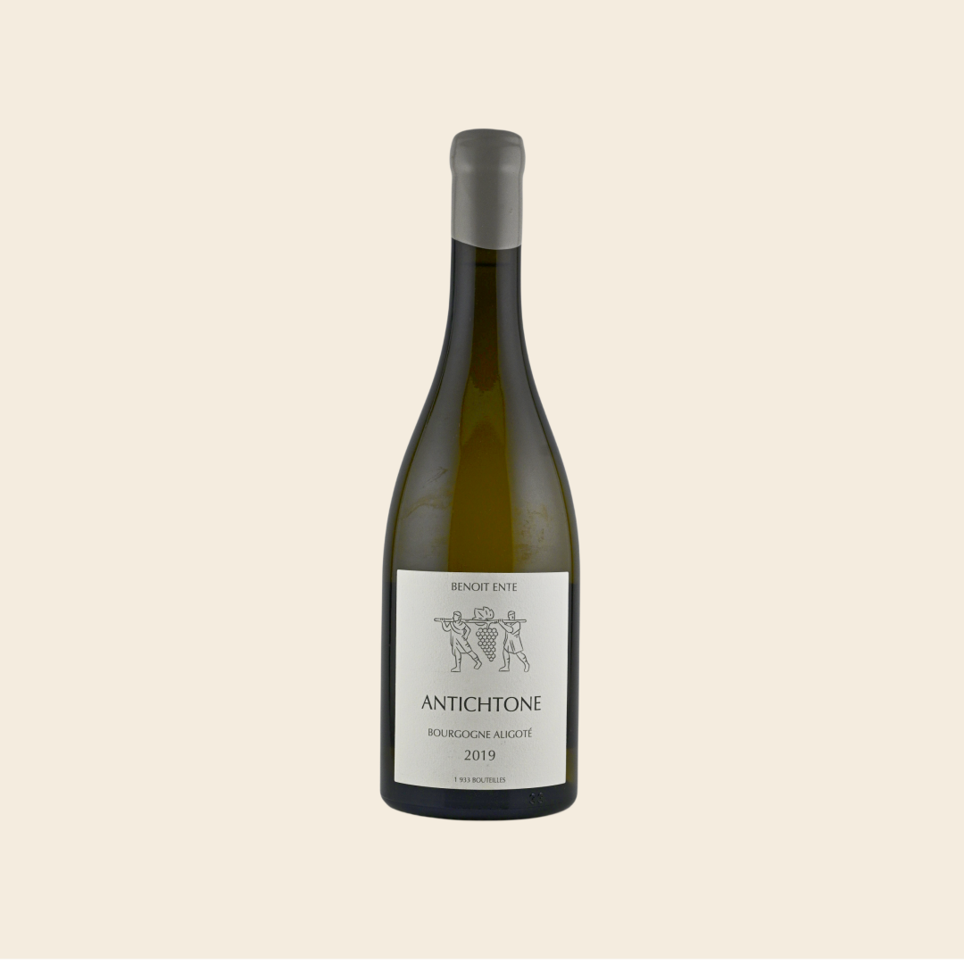 2019 Benoit Ente Bourgogne Aligote 'Antichtone' 750ml